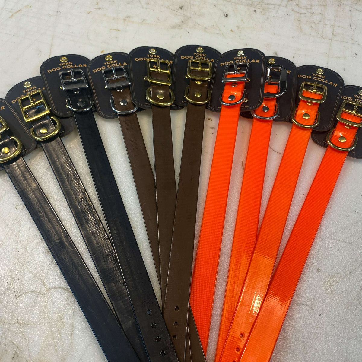 York Dog Collar